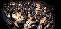 Royal Philharmonic Orchestra