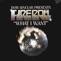 bob sinclar feat fireball