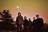 Red Sparowes