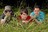 Scouting For Girls
