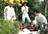 Telepopmusic