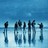 the waterboys