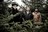 The Weakerthans
