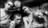 Butthole Surfers